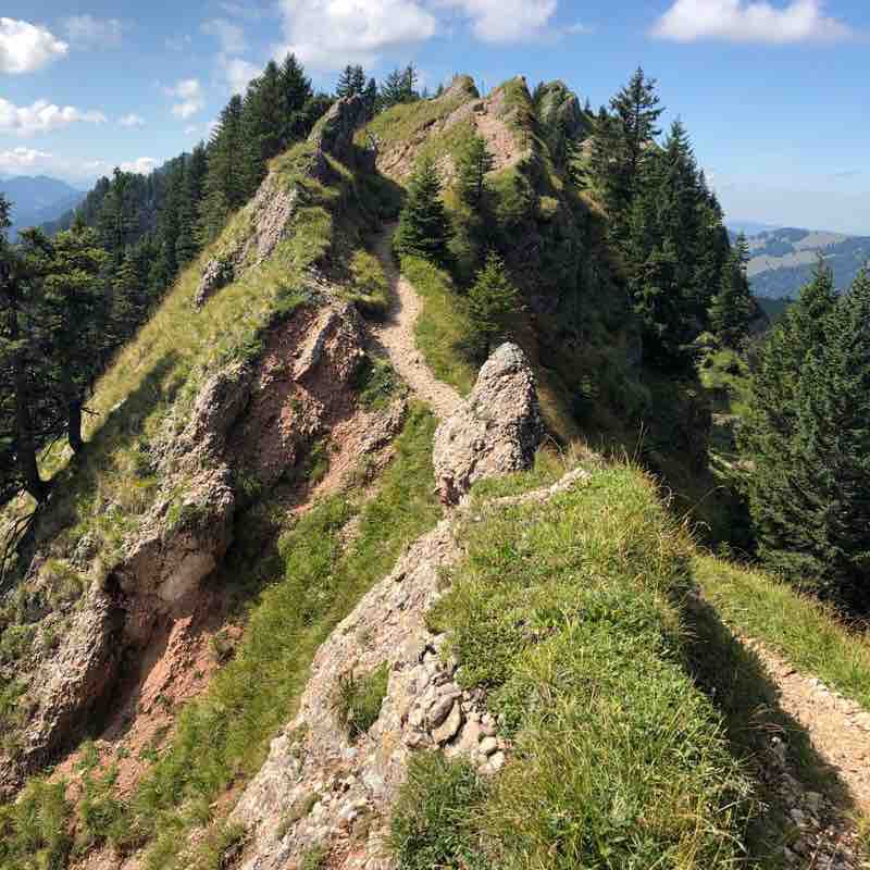 From noon to Immenstadt walking route map in Blaichach