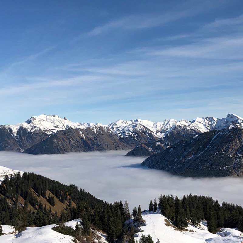 Schneespaziergang am Fellhorn