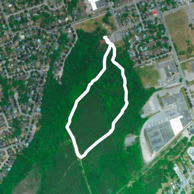 Hannah park Trails "red"