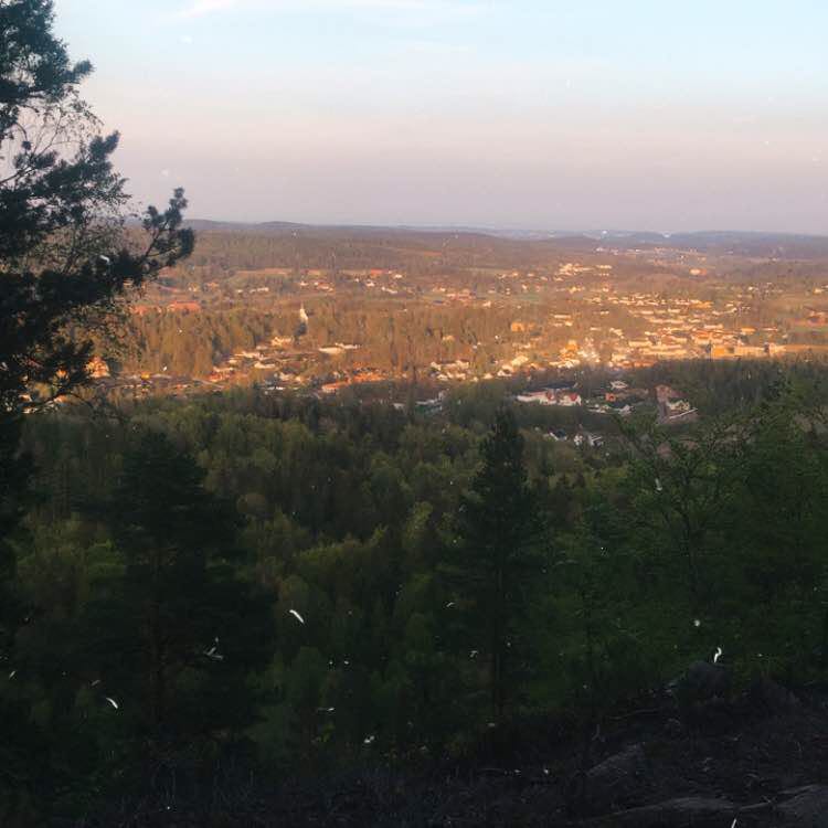 Crazy Round walking route map in Andebu