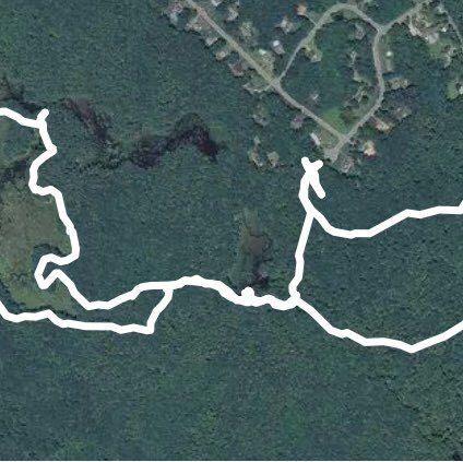 Plaistow Town Forest walking route map in Plaistow
