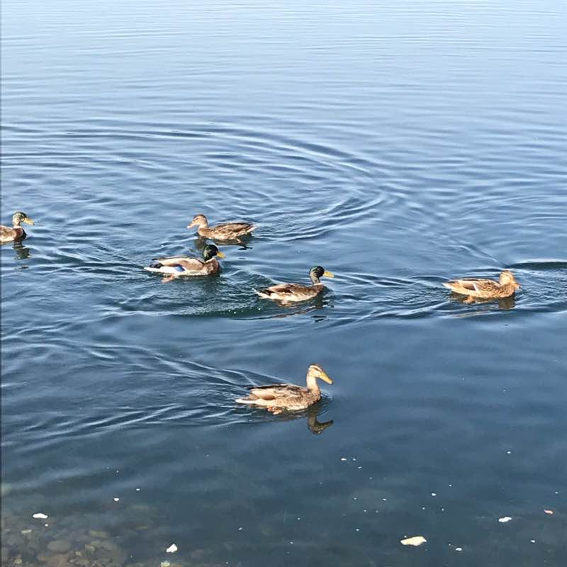 Прогулка днём в солнечном