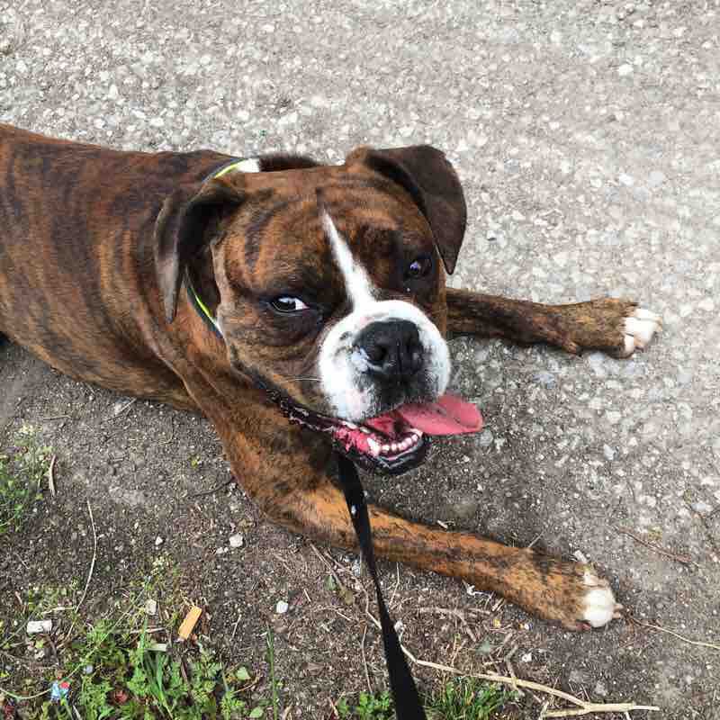 Robin Hood  walking route map in Rothwell