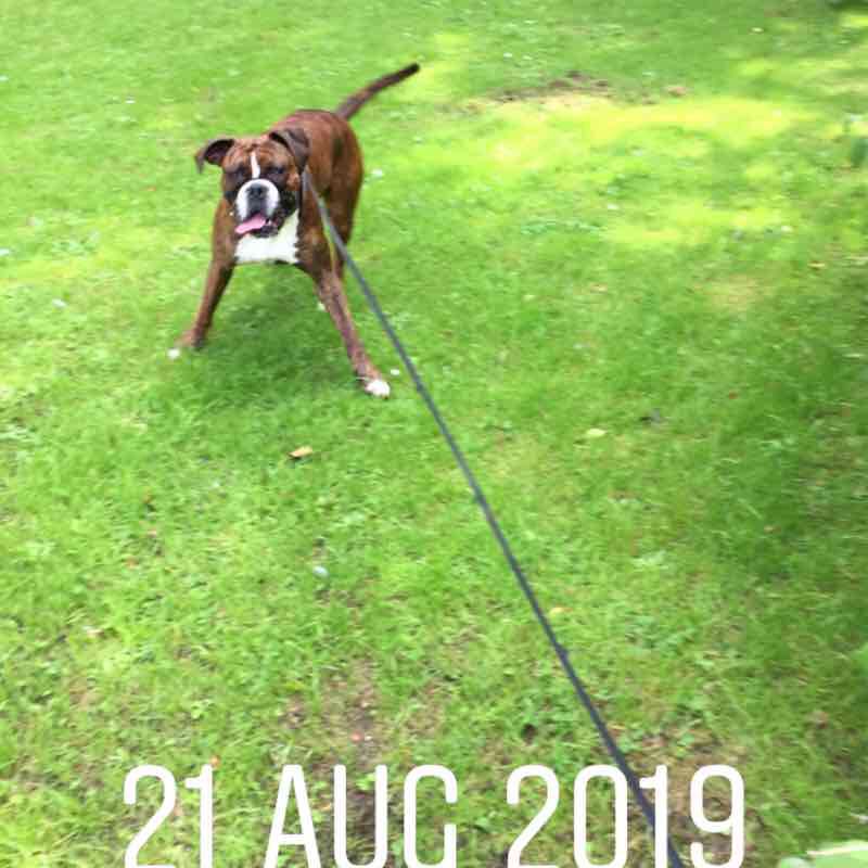 Rothwell  walking route map in Rothwell