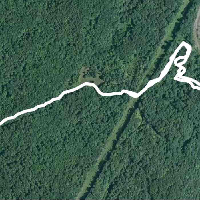 Franny Reese State Park Trails