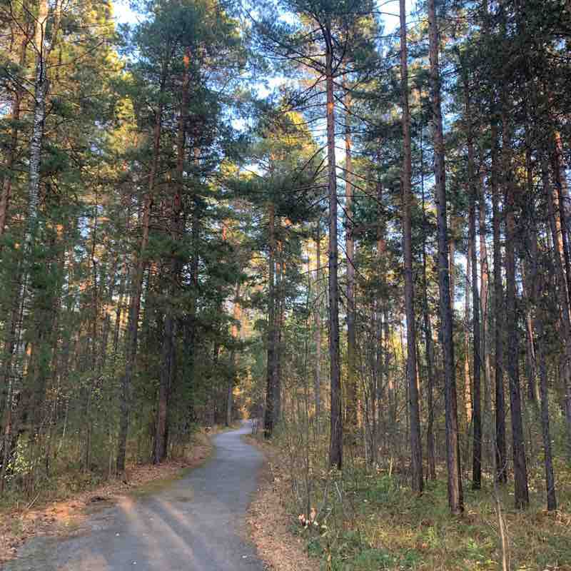 The surroundings of the village of Svetly walking route map in Berdsk