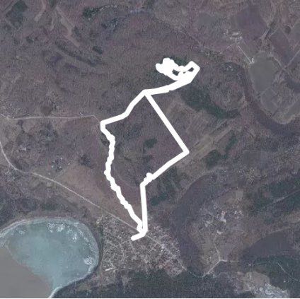 Forest walk walking route map in Berdsk