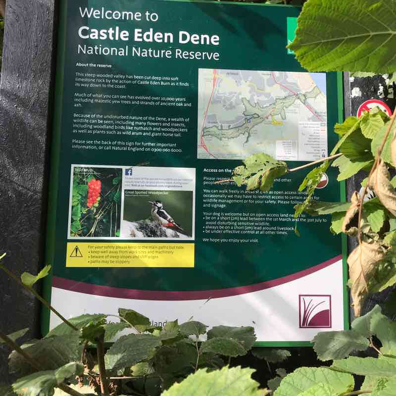 Castle Eden Dene walking route map in Hesleden