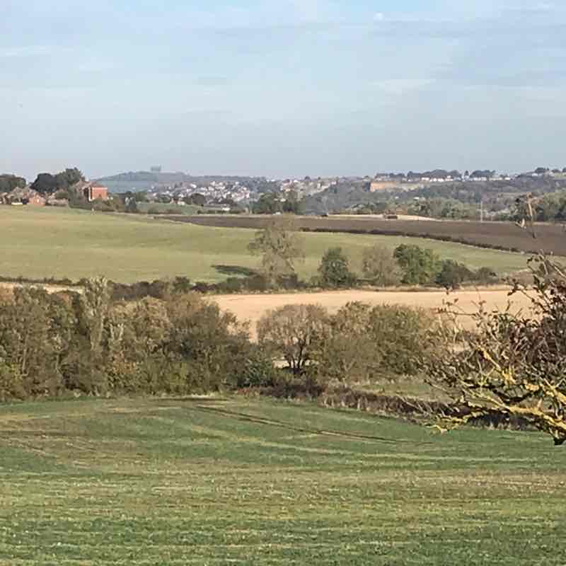 Joes Pond Nature Reserve walking route map in East Rainton
