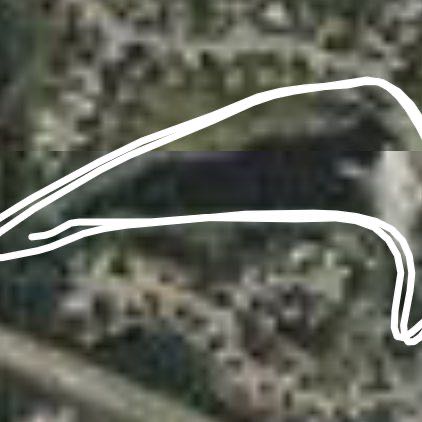 Morning run walking route map in Ashburn