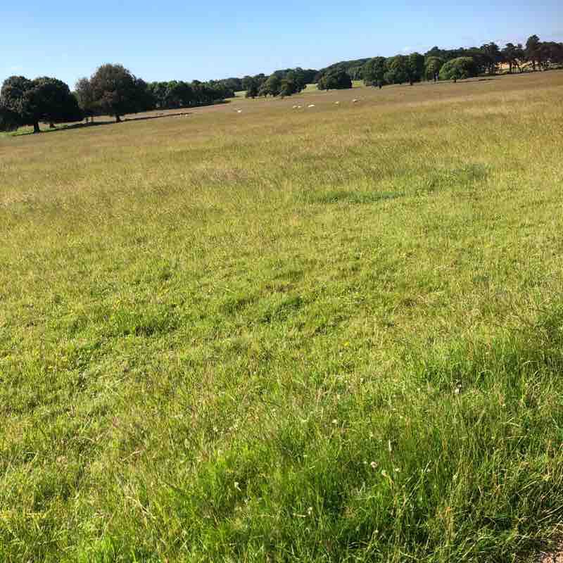 Coffee in wells walking route map in Wighton