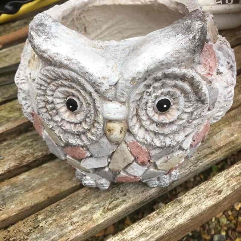 Brando walking route map in Wighton