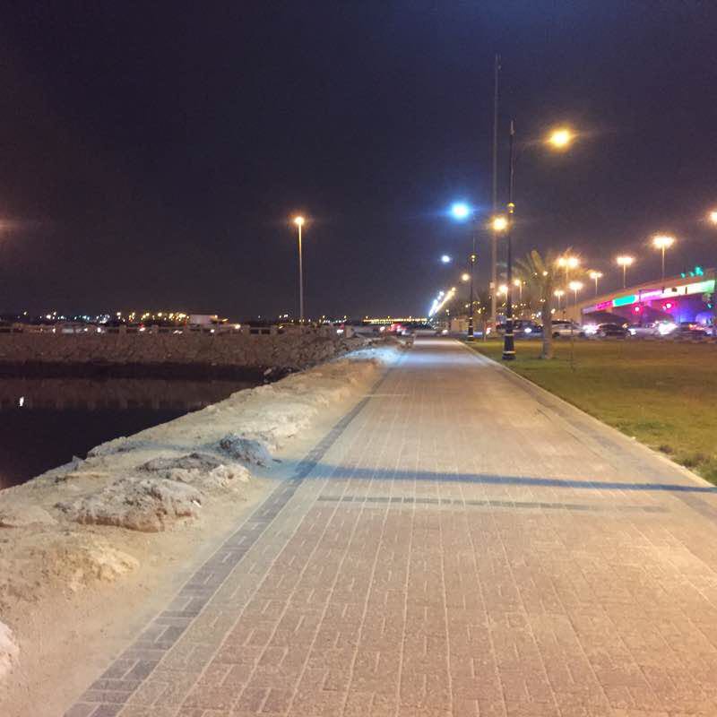 بحيرة الناصرة المنيرة 