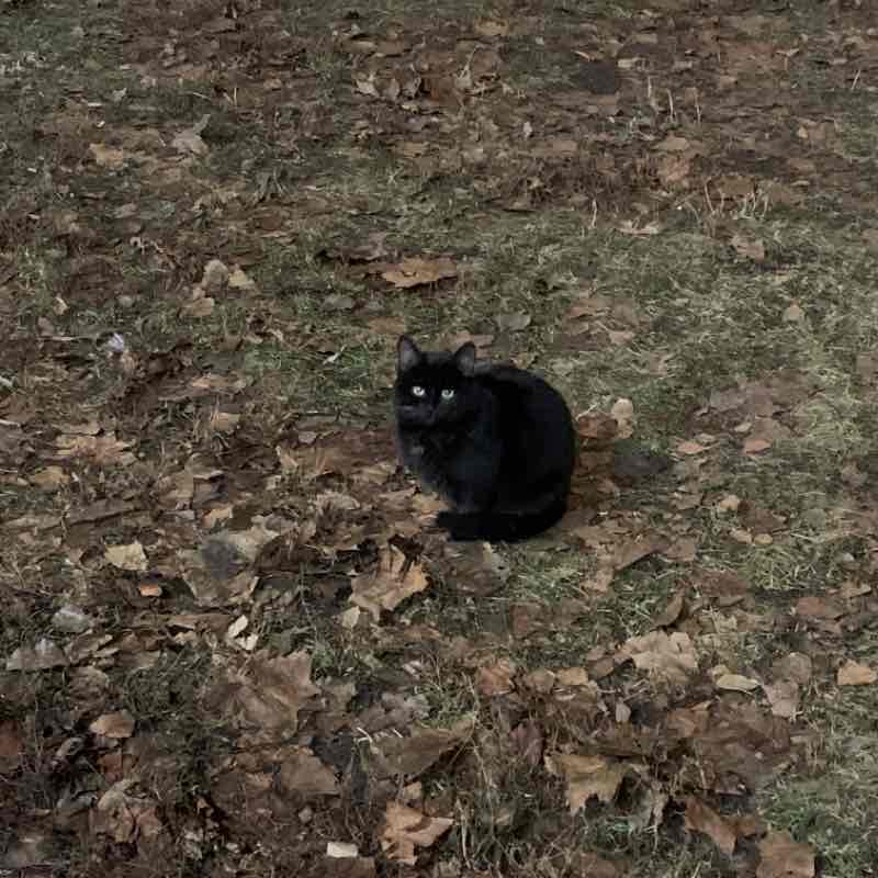 Старый Оскол Северо-Восточная часть