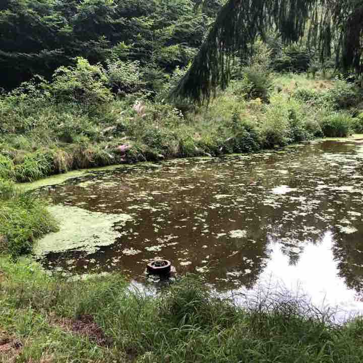Red mountain walking route map in Schönaich