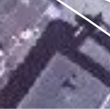 Прогулка в магазин