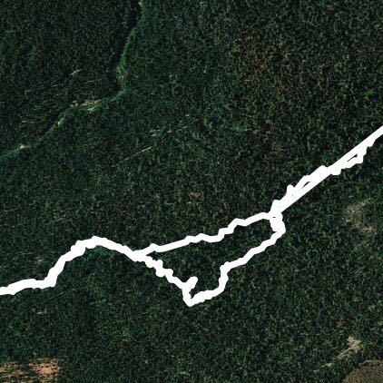 Big Trees South Grove  walking route map in Dorrington
