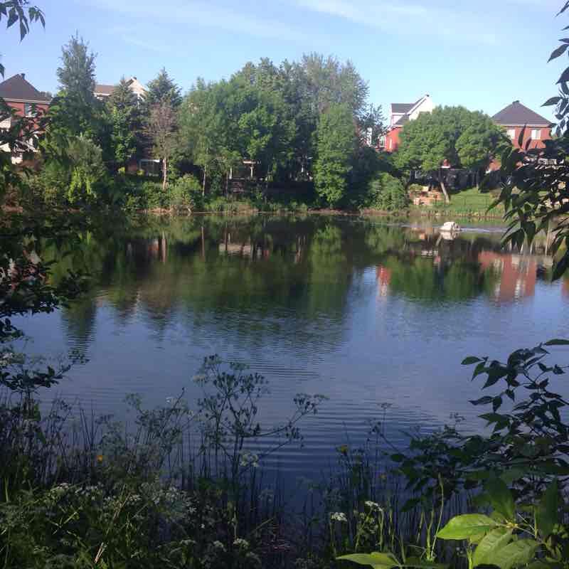 Lake