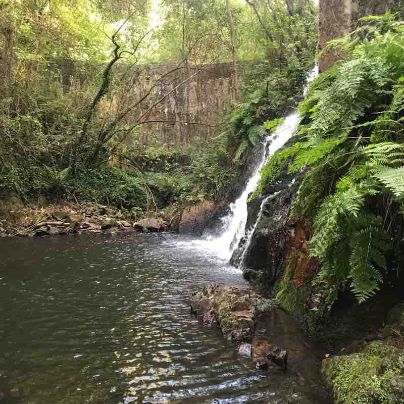 Constipation walking route map in Santa Cruz