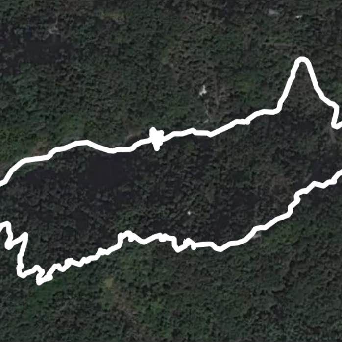 109.11.29大坑六號步道健走運動