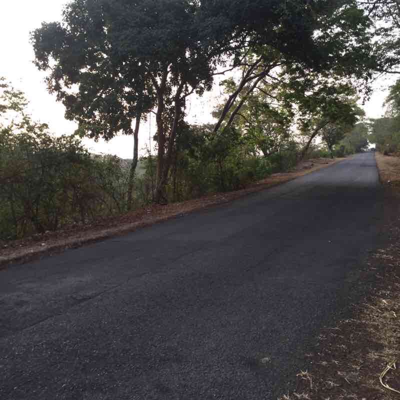 Towards the cuckoo walking route map in La Union