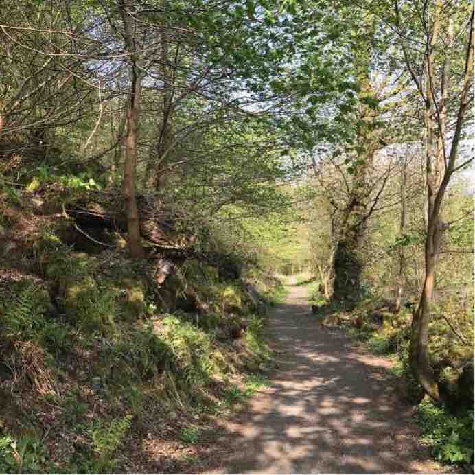 Dundonald walking route map in Dundonald