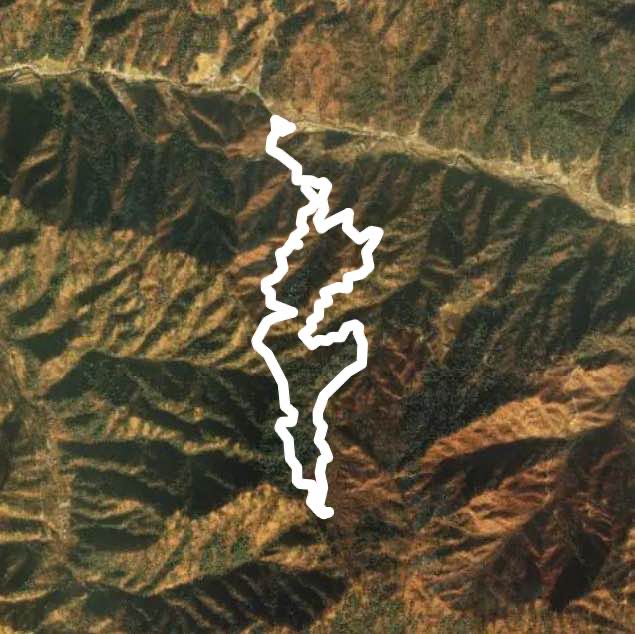 속닥속닥 자작나무숲