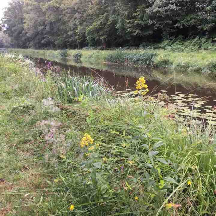 Bonen Bridge to KozhKer and back walking route map in Rostrenen