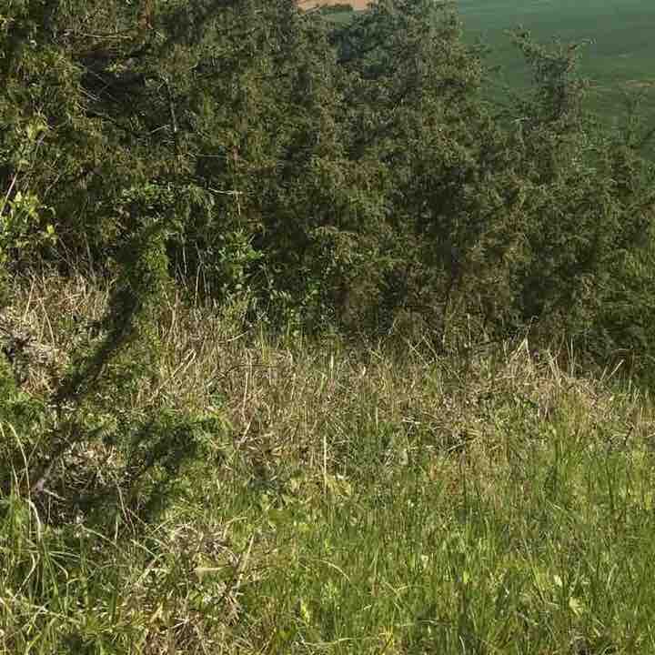 Dry valleys walking route map in Buxerolles