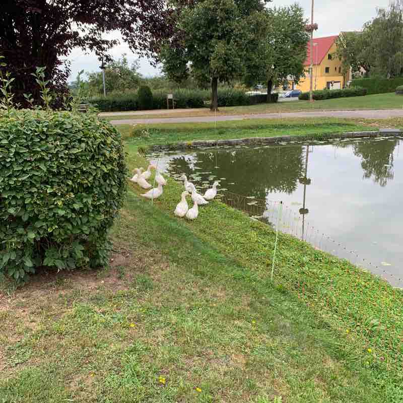 Röckenhof walking route map in Heroldsberg