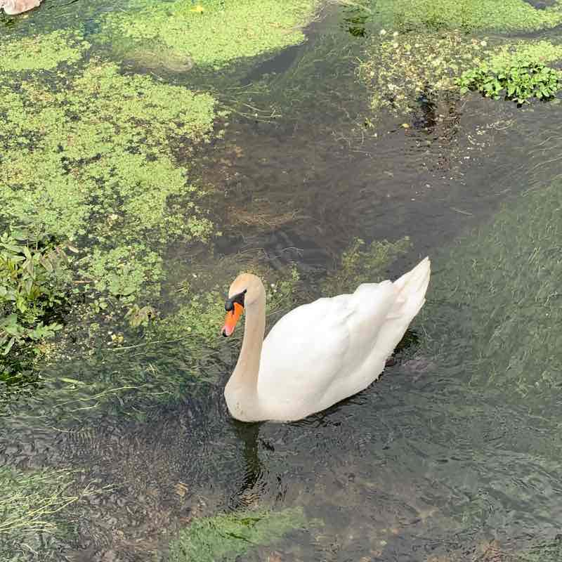 Loudwater - Cressex walking route map in Loudwater