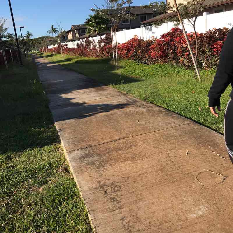 Morning walk routine