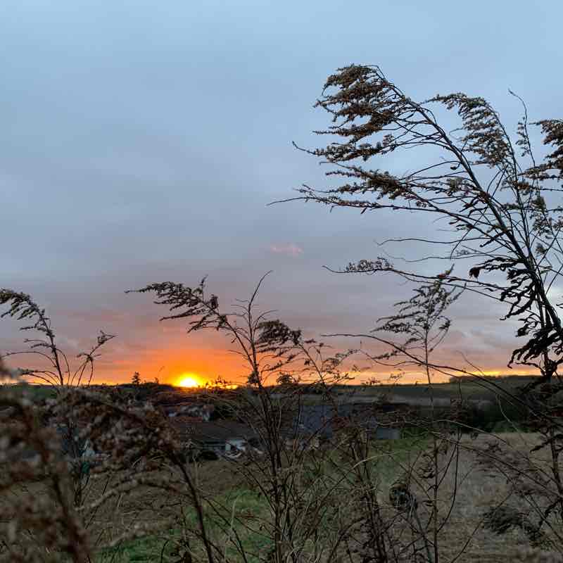 Morning walk with your favorite person walking route map in Dielheim