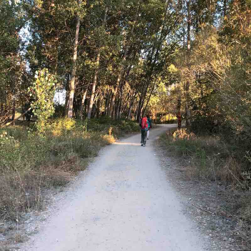 Camino 