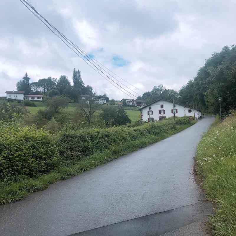 Camino