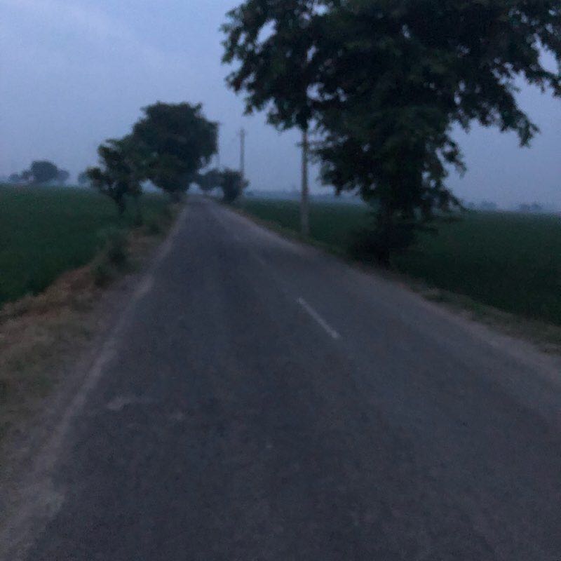 The road through the lush green fields. walking route map in Bassi Pathana