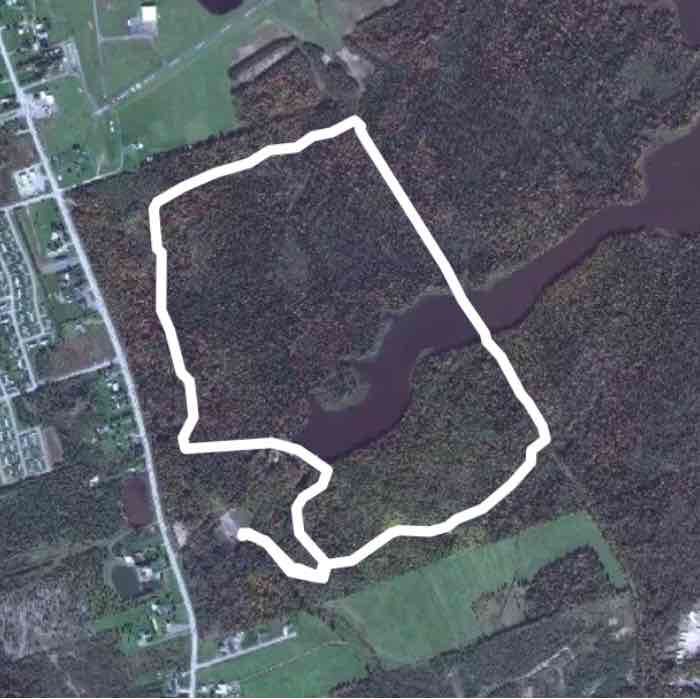 irishtown nature park