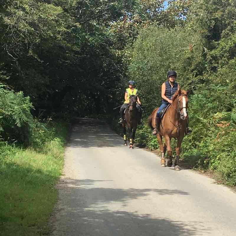 Baldu Common walking route map in Truro