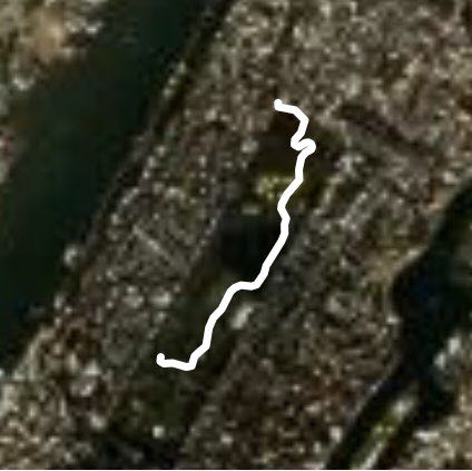 Short Central Park WW