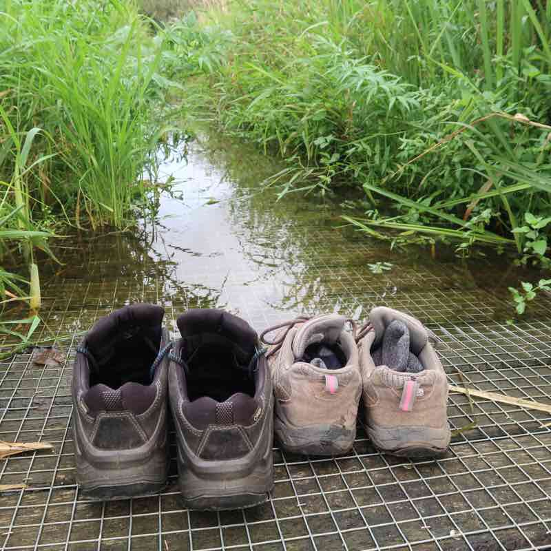 The trek path Kongensbro -> Bjerringbro walking route map in Fårvang