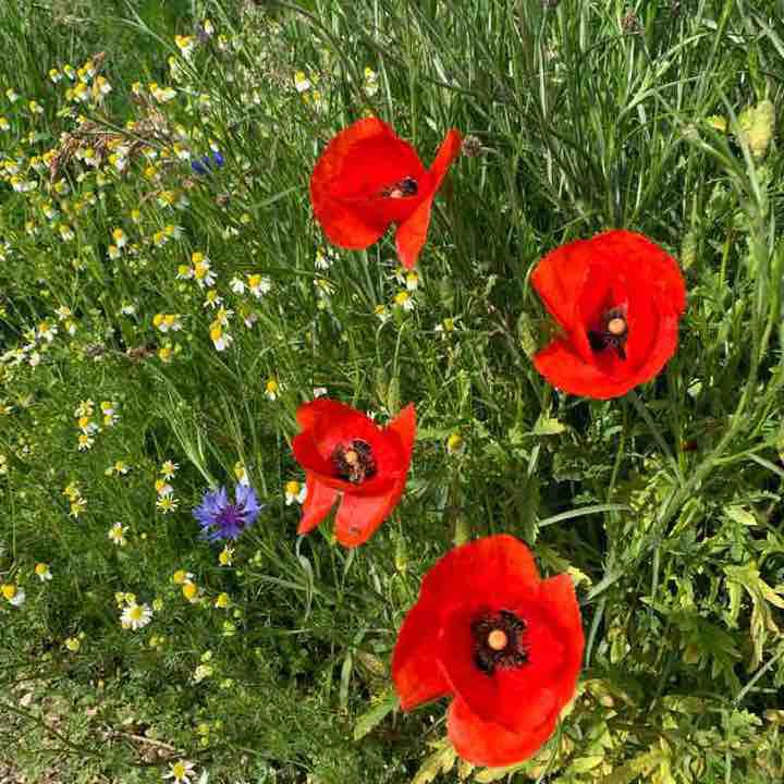 Feldwegrunde Uttenreuth walking route map in Uttenreuth