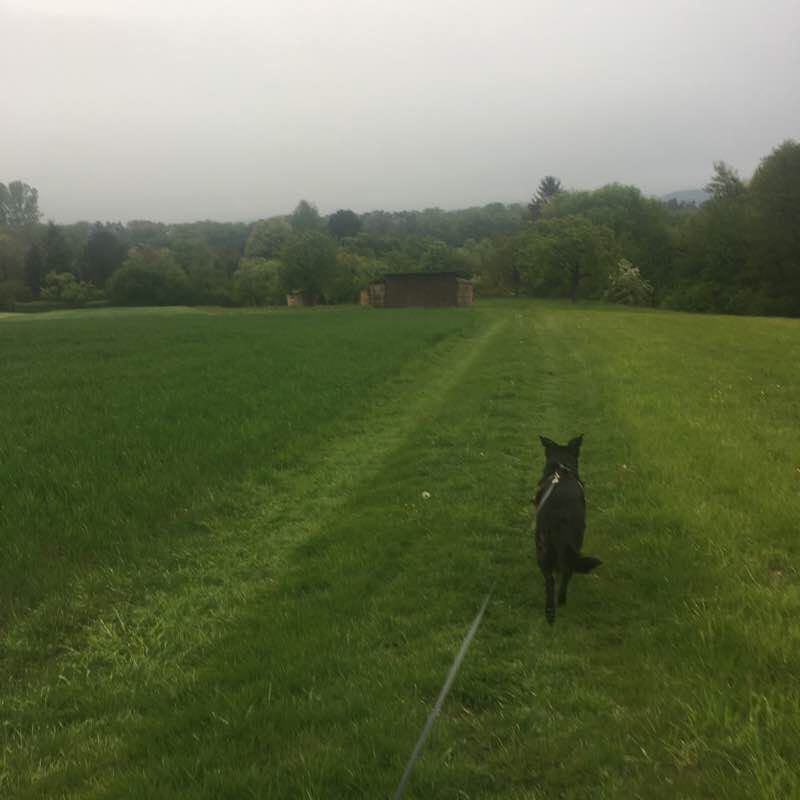 Gassi round small walking route map in Heroldsberg