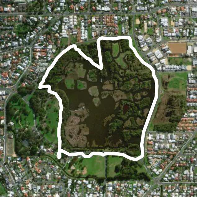 big swamp reserve