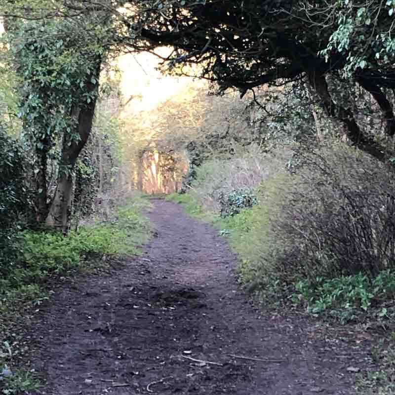 Noses Point to Hawthorn Dene
