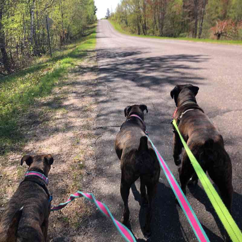 Hogback Stroll walking route map in Chetek