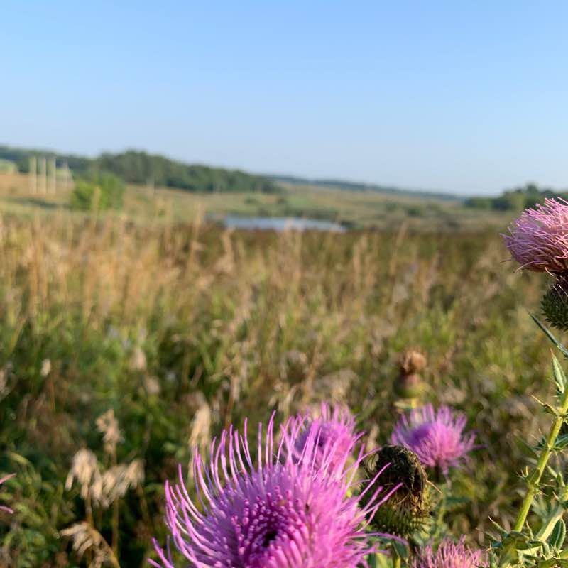 Walk and swim along the pond walking route map in Rostov-on-Don