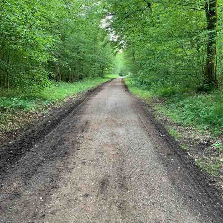 Chageuz Forêt walking route map in Thise