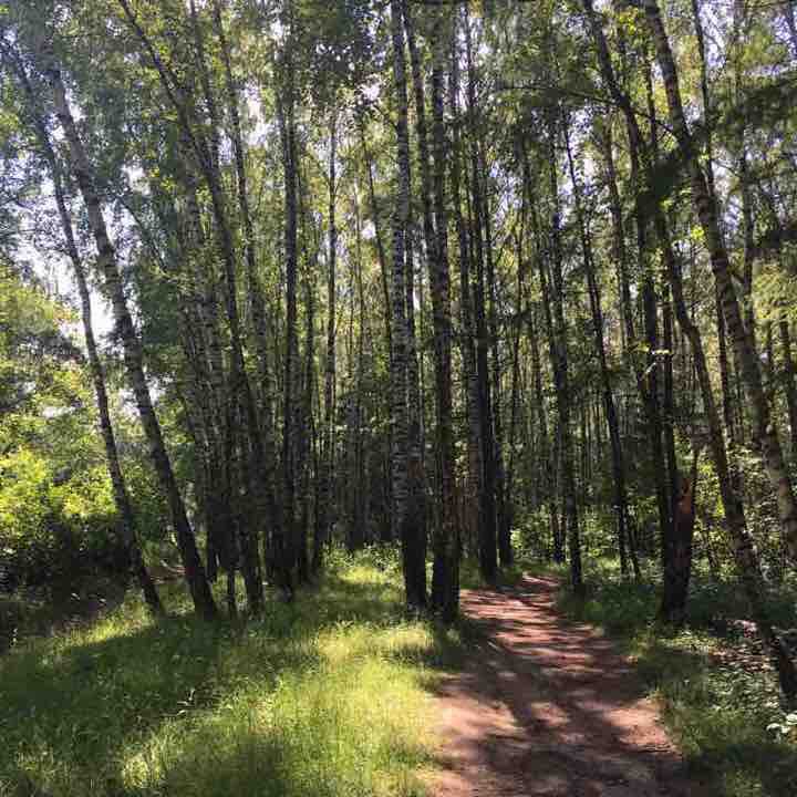 Through the forest Walk Trail Moscow, Russia Pacer
