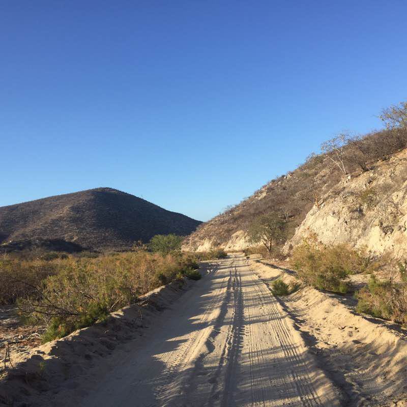 I walk to the choir walking route map in Buena Vista