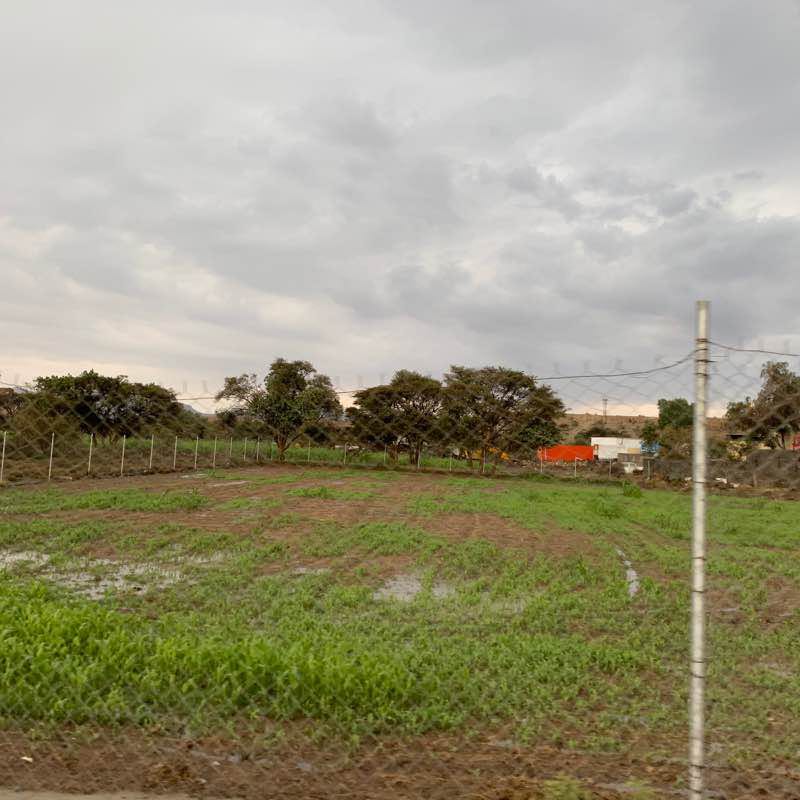 Jidhar Road in the White Valley walking route map in Sarat Abidah